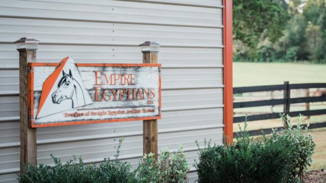 A white and orange sign with a horse head reading Empire Egyptians