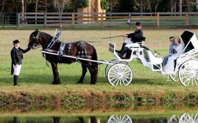 Everything is Better in Person- Including Weddings!