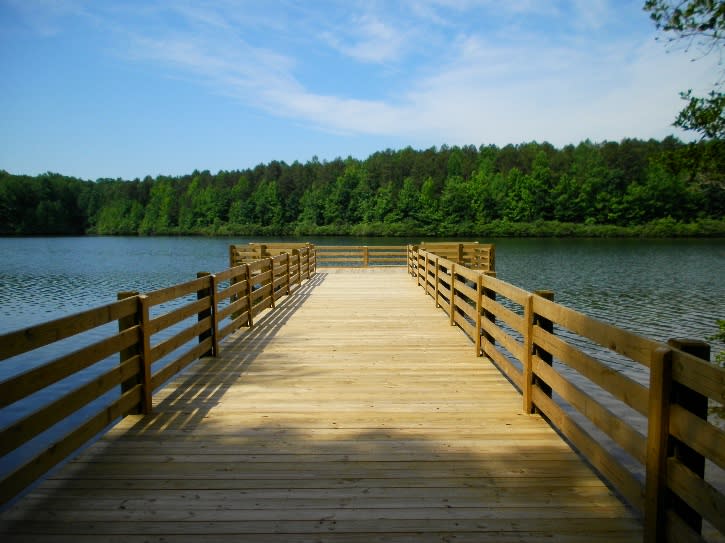 Mayo Lake Park 3 Happy young woman chasing man while riding bicycle on a sunny day
