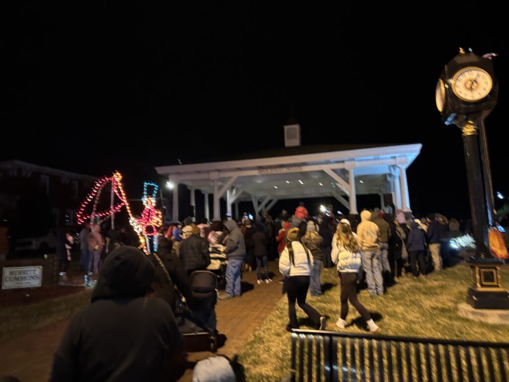 tree lighting crowd photo