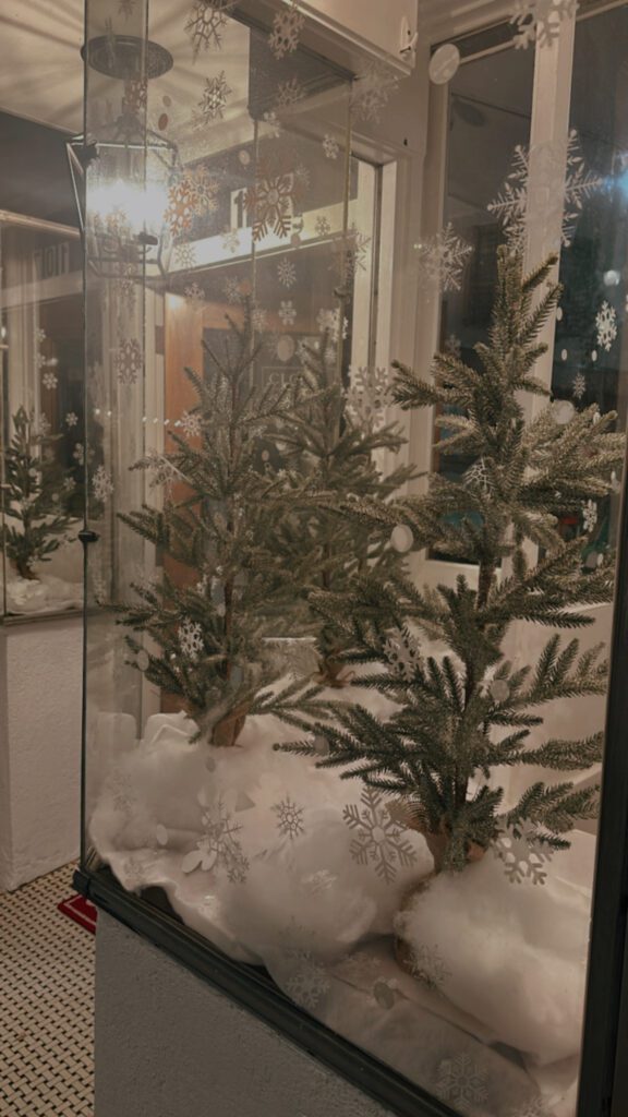 Roxboro Home Decor holiday window