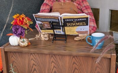 🎃 2025 Uptown Roxboro Scarecrow Contest – Vote for Your Favorite! 🍂